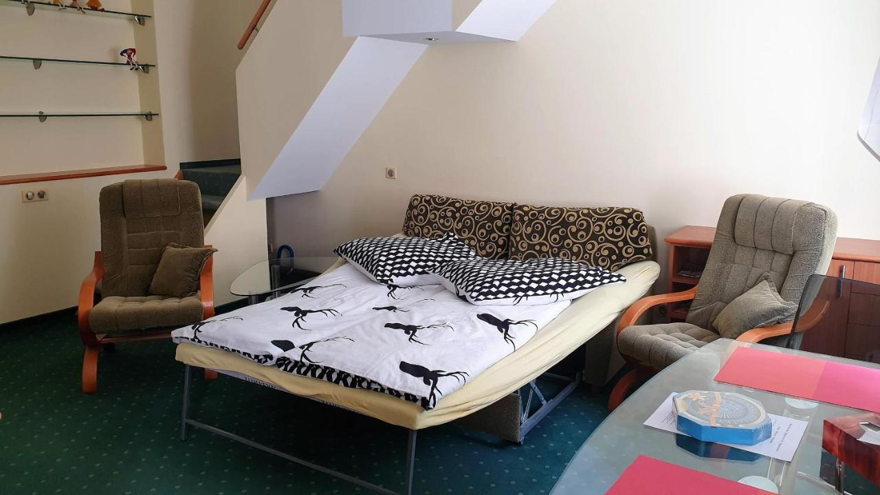 Spa Apartment Raisova Karlovy Vary Ngoại thất bức ảnh