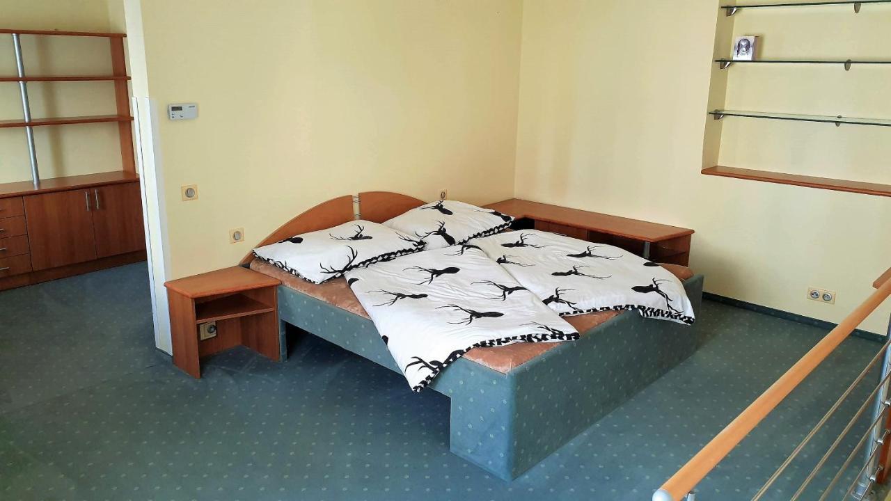 Spa Apartment Raisova Karlovy Vary Ngoại thất bức ảnh